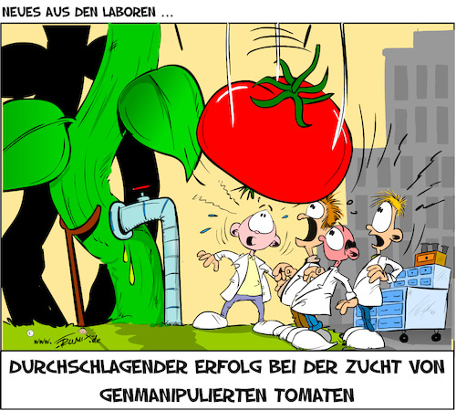 Genmanipulierte Tomaten