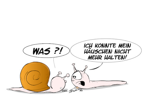 Haussanierung Haussanierung
