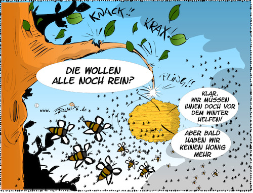 Honig ist alle Honig ist alle