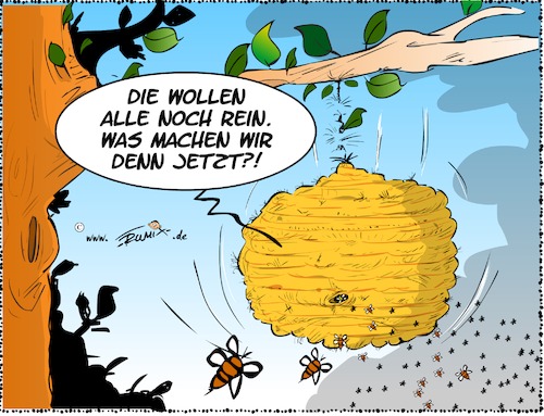 Letzte Zuflucht Letzte Zuflucht