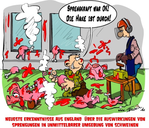 Cartoon: Schwein gehabt (medium) by Trumix tagged england,experiment,explosion,schweine,tierversuche