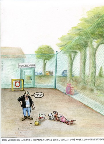 hundeschule hundeschule