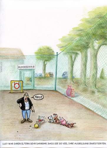 hundeschule hundeschule