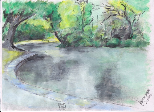 Cartoon: Duck Pond (medium) by jjjerk tagged duck,pond,saint,annes,park,dublin,nature,trees,green,water,paving,reflection