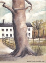 Cartoon: Marley Park (small) by jjjerk tagged marley park rathfarnum dublin 14 ireland cartoon tree house