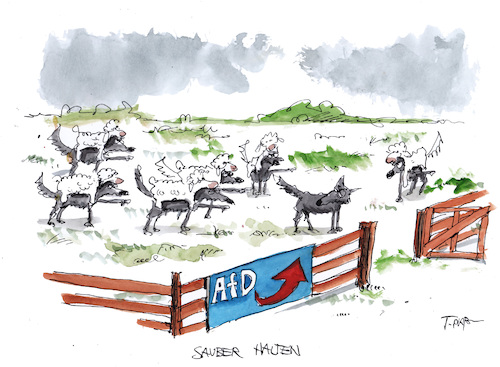 Cartoon: afd (medium) by plassmann tagged afd,hocke,populismus