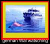 Cartoon: whale watching (small) by dreifusz tagged fette deutsche 