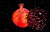 Cartoon: pomegranate in war (small) by Hossein Kazem tagged pomegranate,in,war