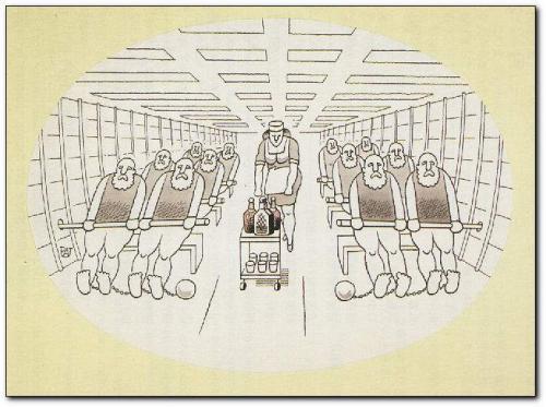 stewardess stewardess