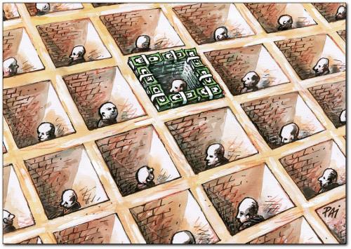 walls walls