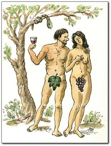 wine wine