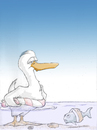 Cartoon: Nichtschwimmer (small) by philipolippi tagged ente,fisch,wasser,nichtschwimmer