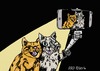 Cartoon: Doing a Selfy (small) by tonyp tagged arp,selfy,selfi,photo,cats,cat