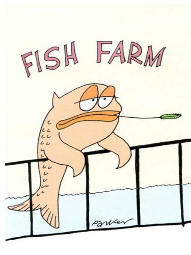 Cartoon: Odd fish. (medium) by daveparker tagged fish,farm,suckung,straw