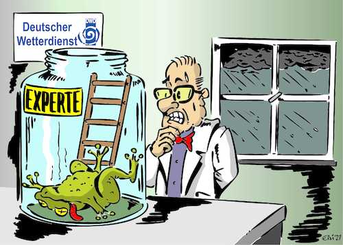 Cartoon: Der Expert ist tot (medium) by eisi tagged sommer,regen,schlechte,aussichten