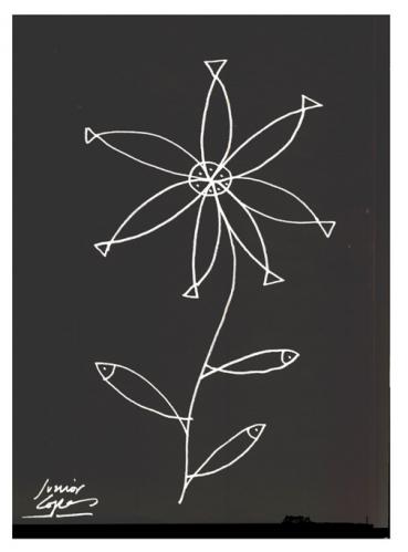 Flower to the Fish Flower to the Fish