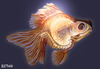 Cartoon: goldfish X-ray (small) by LeeFelo tagged gold,goldfish,radiography,scale,golden,aquarium,eyes,orange,yellow,blue,purple,tail,fins,glow,dark,allien,skull