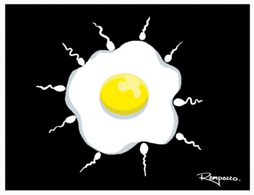 Egg Egg