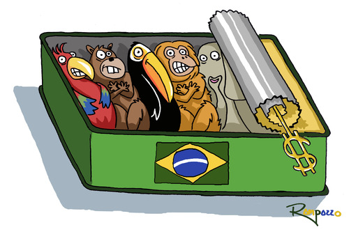 Made in Brazil Made in Brazil