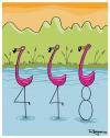 Flamingos