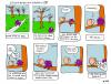Cartoon: arsch im baum (small) by Florian France tagged baum,arsch,park,dummheit