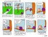 Cartoon: arsch im baum (small) by Florian France tagged baum,arsch,park,dummheit