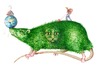 Cartoon: Keine Ahnung (small) by Thomas Bühler tagged ratte,heim,tiere