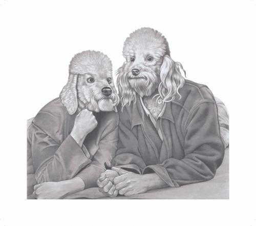 Cartoon: Poodle Pair (medium) by jim worthy tagged animals,dogs,pets,poodles,pencil,illustration