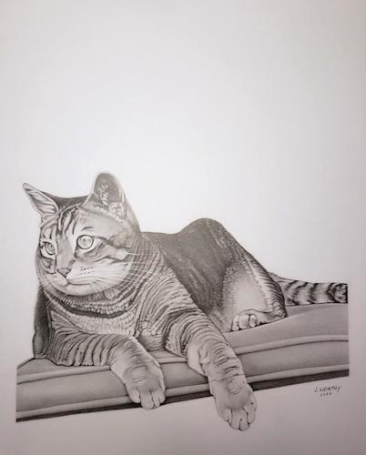 Cartoon: Salvadore The Cat (medium) by jim worthy tagged cat,animal,kitty,feline,pet