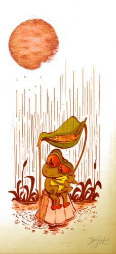 Red Eye Frog in the Rain Red Eye Frog in the Rain