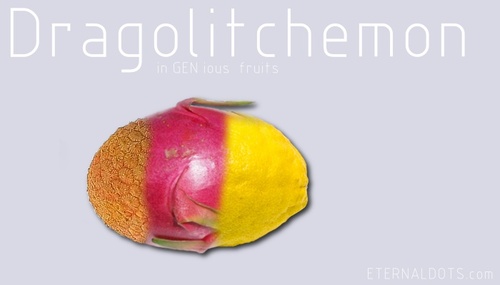 Cartoon: Dragolitchemin (medium) by eternaldots tagged gen,fruit,mixed,litchi,lemon,dragonfruit