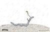 Cartoon: piercing (small) by schmidibus tagged piercing,rainworm,earthworm,blue