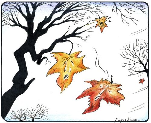 Cartoon: Autumn_leaves_A_Poet_passed_away (medium) by firuzkutal tagged sommer,winter,autumn,season,vinter,kis,leaf,leaves,tree,trees,firuz,kutal