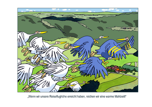 Service bei Langstreckenflug Service bei Langstreckenflug