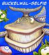Cartoon: Buckelwal-Selfie (small) by Jupp tagged wal selfie cartoon jupp