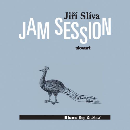 Cartoon: Jam Session (medium) by Jiri Sliva tagged jam,session,book,music