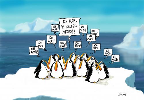 Pinguine habens auch nicht leich Pinguine habens auch nicht leich