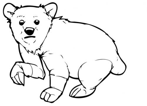 Cartoon: Lil Knut (medium) by Playa from the Hymalaya tagged knut,polar,bear