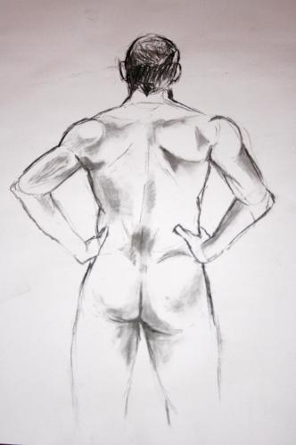 Cartoon: Nude drawing (medium) by Playa from the Hymalaya tagged nude,drawing,naked,man,aktzeichnung,nackt,mann,rücken,anatomie