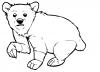 Cartoon: Lil Knut (small) by Playa from the Hymalaya tagged knut,polar,bear