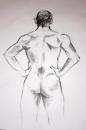 Cartoon: Nude drawing (small) by Playa from the Hymalaya tagged nude,drawing,naked,man,aktzeichnung,nackt,mann,rücken,anatomie