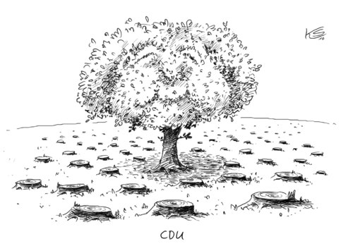 Cartoon: Baum (medium) by Stuttmann tagged cdu,merkel,cdu,angela merkel,baum,angela,merkel
