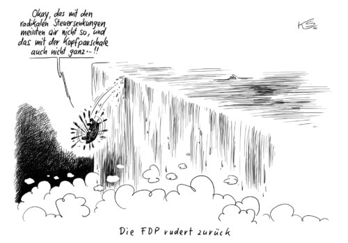 Cartoon: Rudern (medium) by Stuttmann tagged fdp,steuersenkungen,steuerreform,westerwelle,kopfpauschale