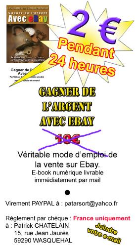 Cartoon: Gagner de l ARGENT avec eBay (medium) by chatelain tagged gagner,de,argent,avec,ebay