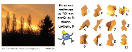 Cartoon: JEU 70 (medium) by chatelain tagged jeu,observation,chatelain