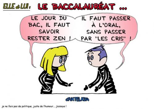 Cartoon: Le bac (medium) by chatelain tagged humour