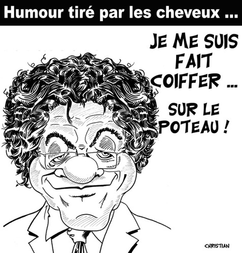 Cartoon: a un poil pres ! (medium) by CHRISTIAN tagged remaniement,borloo,ministre