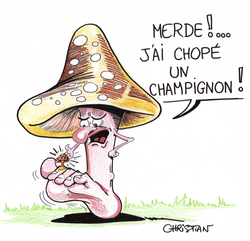 Cartoon: champignons (medium) by CHRISTIAN tagged champignons