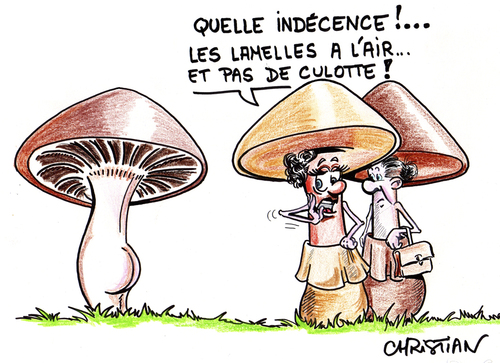 Cartoon: champignons (medium) by CHRISTIAN tagged champignons