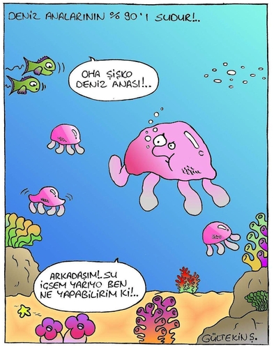 Cartoon: Jellyfish (medium) by gultekinsavk tagged jellyfish,fat,water,su,fish,deniz,sea